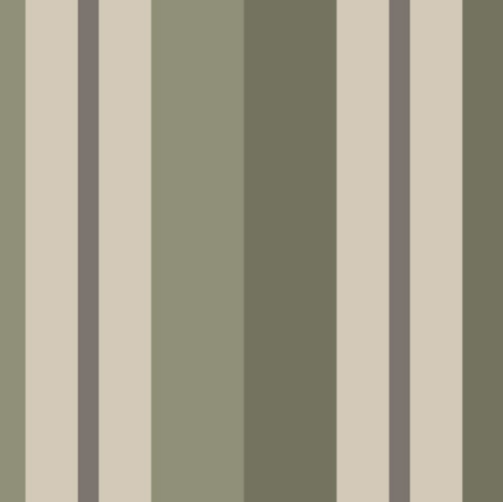 Brella Awning Canvas C309