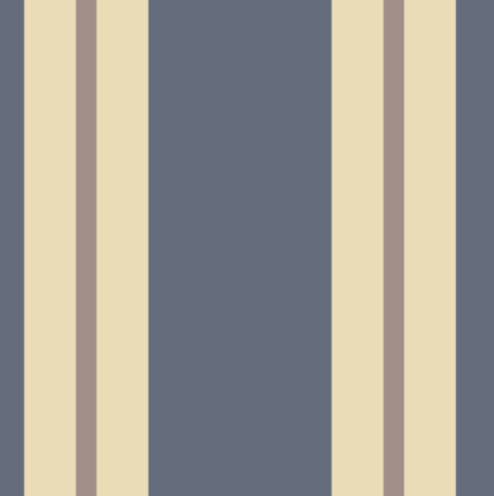 Brella Awning Canvas C316