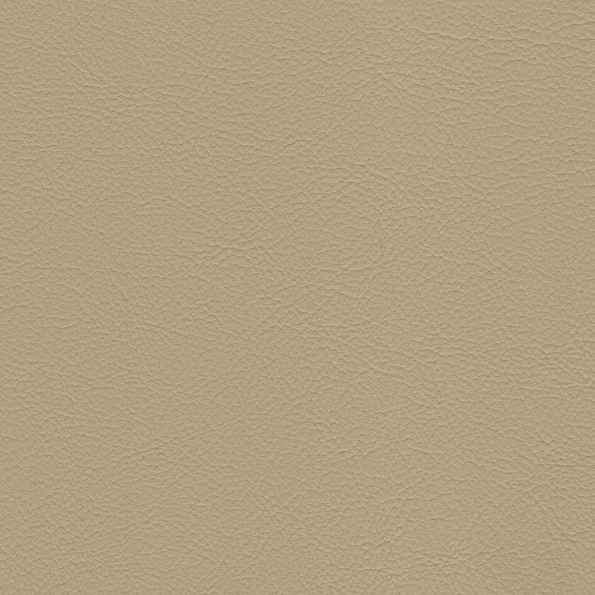 Light Beige 4-Way Stretch Vinyl