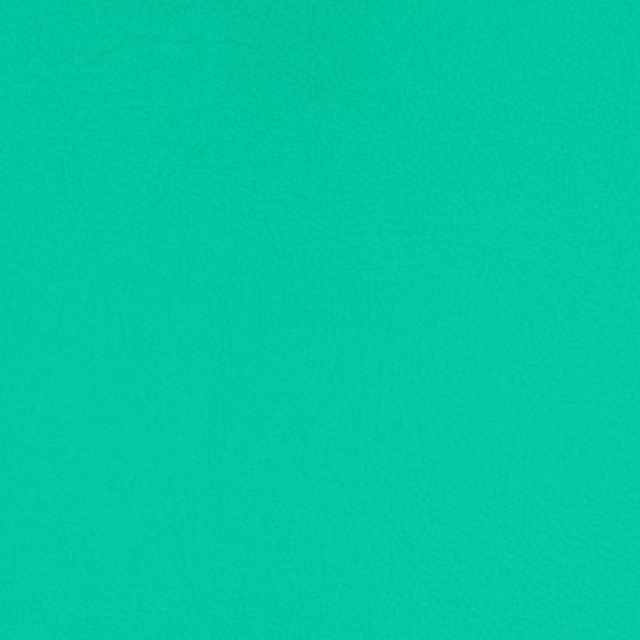 Pacifica STANDARD Marine Vinyl - Robbin Egg