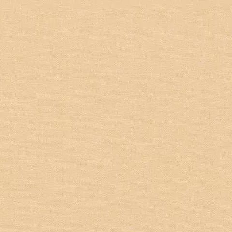 Sunbrella Canvas Champagne