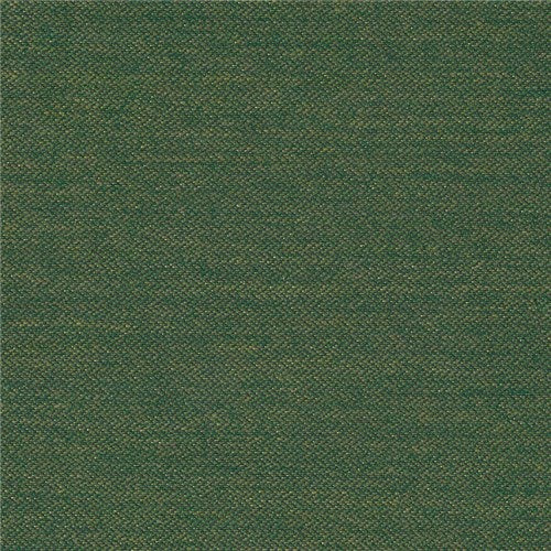 Es Caná Asgard Fern