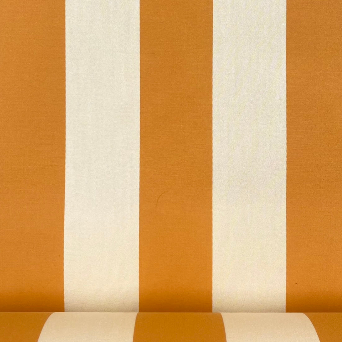 Dickson Mandarin & Cream Stripe