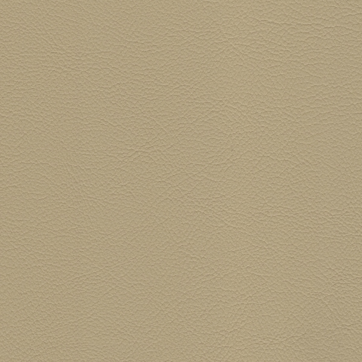 Light Beige 4-Way Stretch Vinyl